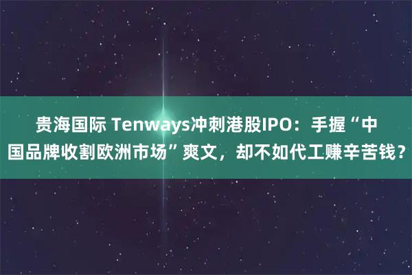 贵海国际 Tenways冲刺港股IPO：手握“中国品牌收割欧洲市场”爽文，却不如代工赚辛苦钱？