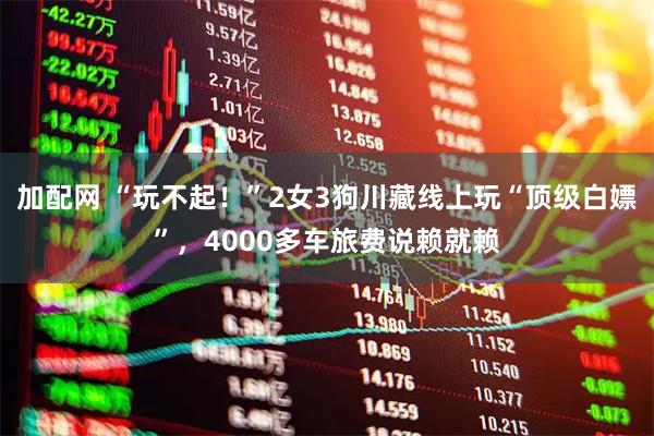加配网 “玩不起！”2女3狗川藏线上玩“顶级白嫖”，4000多车旅费说赖就赖