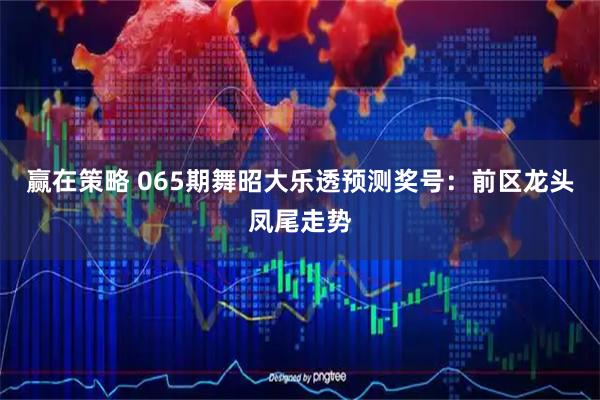赢在策略 065期舞昭大乐透预测奖号：前区龙头凤尾走势
