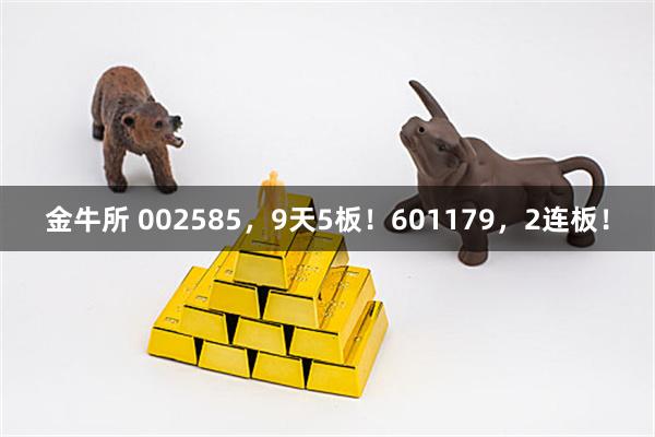 金牛所 002585，9天5板！601179，2连板！