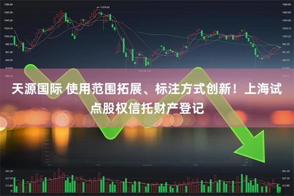 天源国际 使用范围拓展、标注方式创新！上海试点股权信托财产登记