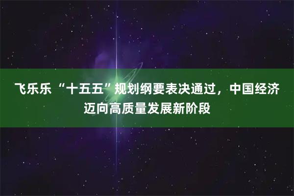 飞乐乐 “十五五”规划纲要表决通过，中国经济迈向高质量发展新阶段