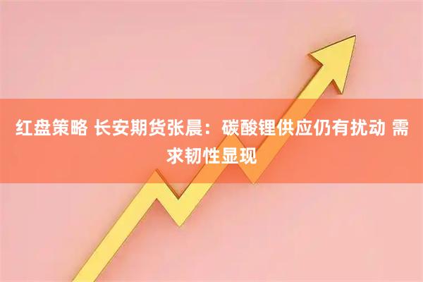 红盘策略 长安期货张晨：碳酸锂供应仍有扰动 需求韧性显现