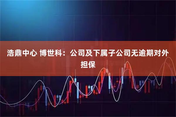 浩鼎中心 博世科：公司及下属子公司无逾期对外担保