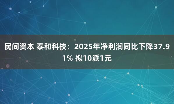 民间资本 泰和科技：2025年净利润同比下降37.91% 拟10派1元