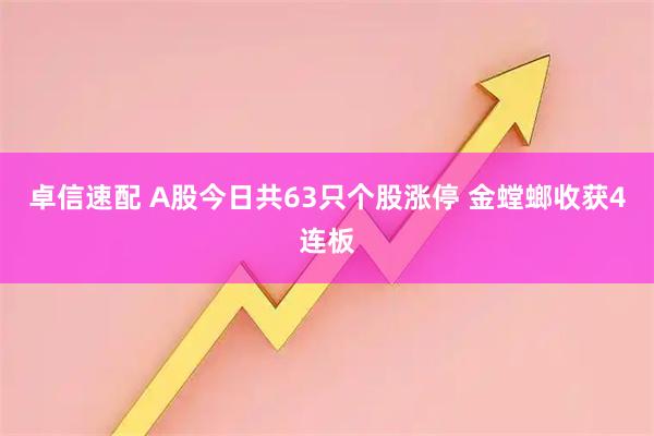 卓信速配 A股今日共63只个股涨停 金螳螂收获4连板